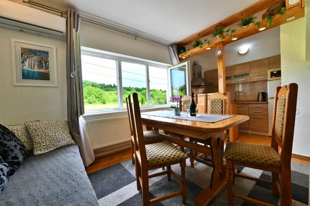 Apartment Marija Zupan Rakovica Exteriör bild